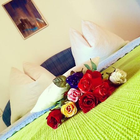 Apartment Emanuela Rovinjsko Selo Zewnętrze zdjęcie