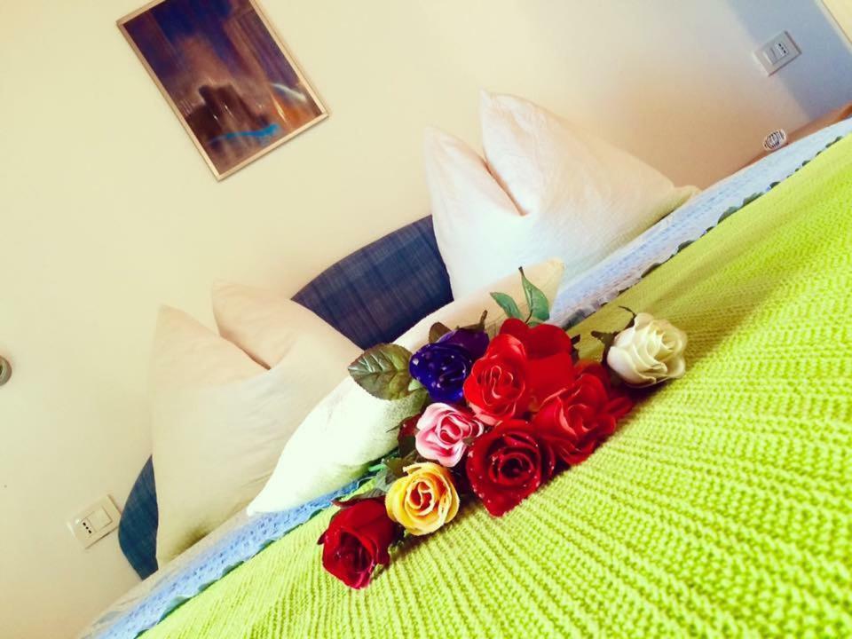 Apartment Emanuela Rovinjsko Selo Zewnętrze zdjęcie