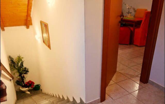 Apartment Emanuela Rovinjsko Selo Zewnętrze zdjęcie