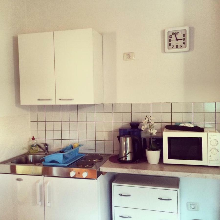 Apartment Emanuela Rovinjsko Selo Zewnętrze zdjęcie